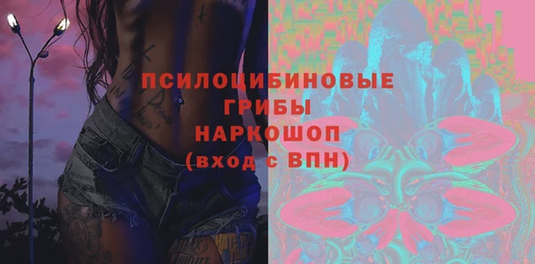 гашиш Богданович