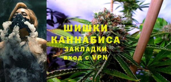 сатива Богородск