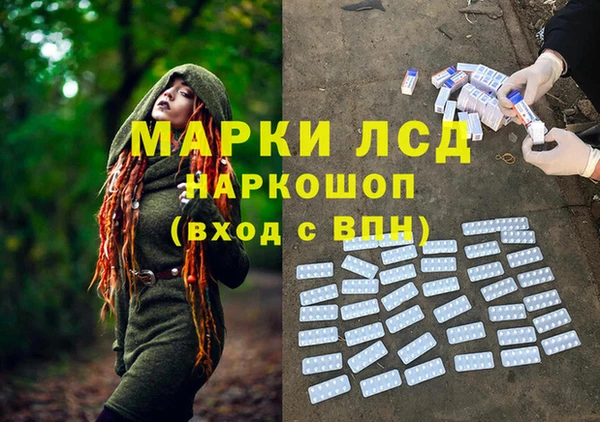 гашиш Богданович