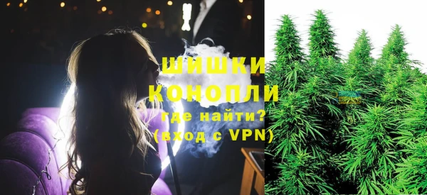 сатива Богородск