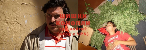 сатива Богородск