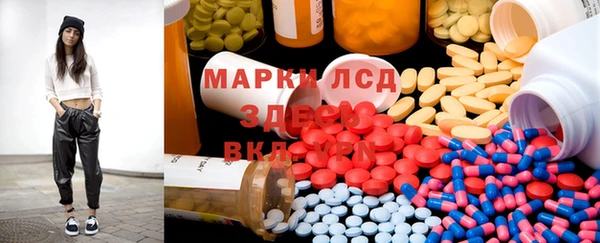 гашиш Богданович