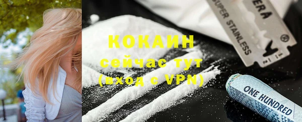 гашиш Богданович