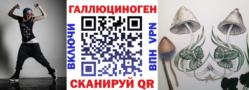 Псилоцибиновые грибы Psilocybine cubensis  Рязань 